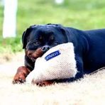 Profile Picture of Yingchao Zhang (@Yingchao-Zhang) on Facebook