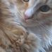 Profile Picture of Benjamin Kucher (@benjamin.kucher.5) on Facebook