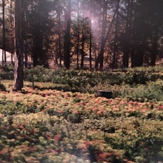 Profile Picture of Michael Deslauriers (@Michael-Deslauriers) on Facebook