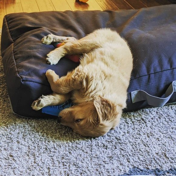 Profile Picture of Jesse Leman (@jmgleman11) on Poshmark