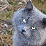 Profile Picture of Toyonita (@toyonitairvine22) on Instagram