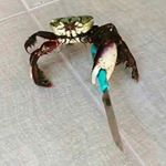 Profile Picture of Raelynn Rodriguez (@x_fallen_) on Instagram