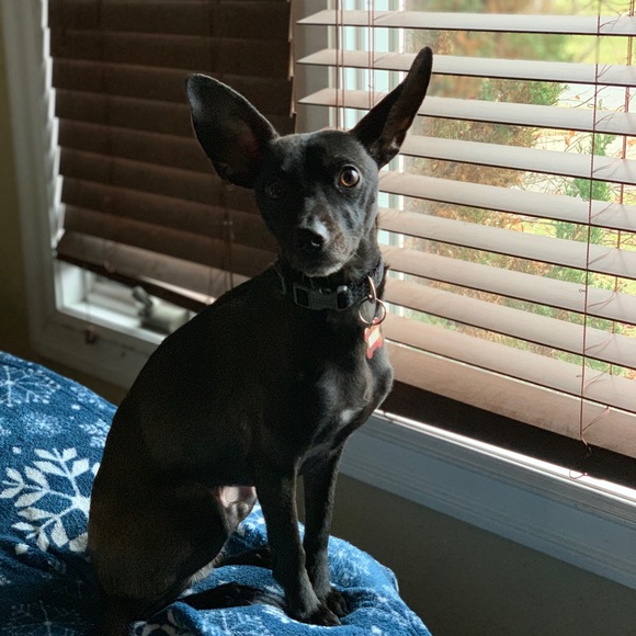 Profile Picture of Dane Munzek (@dmunzek) on Poshmark