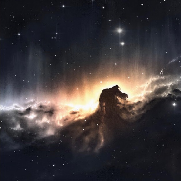 Profile Picture of James Manfield (@oversizedrabbit) on Poshmark