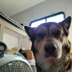 Profile Picture of Matthew Wiggins (@Matthew-Wiggins) on Facebook