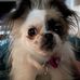 Profile Picture of Blake Estep (@blake.estep.372) on Facebook