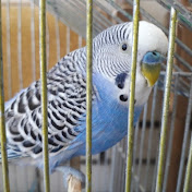 Profile Picture of Bubica (@lekicdragana) on Youtube