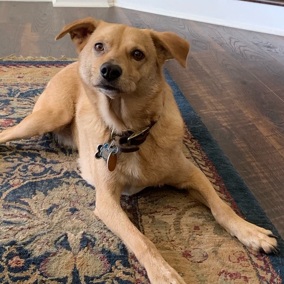 Profile Picture of Mary Deady (@maryd8) on Poshmark