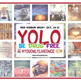 Profile Picture of Kim Box (@kimberlyLISD) on Twitter