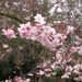 Profile Picture of Brenda Mengeling (@bmengeling) on Pinterest