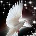 Profile Picture of Martin Steege (@martin.steege.7) on Facebook