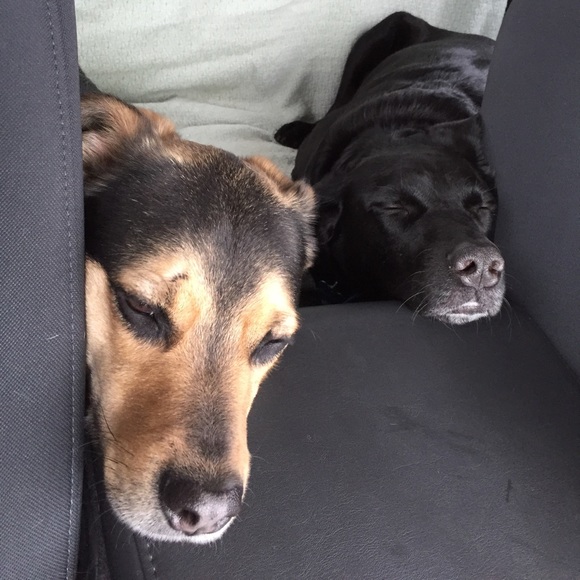 Profile Picture of Emma Longfield (@eef1187) on Poshmark