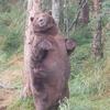 Profile Picture of Hunter Steele (@@kodiak_99) on Tiktok