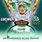 Profile Picture of Aaron Palomares (@aaron.palomares29) on Instagram