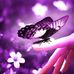 Profile Picture of Janet Clevenger (@janet.clevenger.5) on Facebook