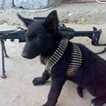 Profile Picture of Mark Serna Cruz (@marksernacruz) on Instagram