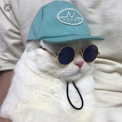 Profile Picture of James Hollifield (@jameshollifield1721) on Youtube