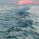 Profile Picture of Jared Fran (@jaredfran2366) on Instagram