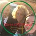 Profile Picture of Marsha Ault (@marsha.hicks.332) on Facebook
