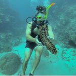 Profile Picture of Seth Roberts 🇺🇸 (@seth.travelfit) on Instagram