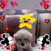 Profile Picture of Amelia Alejandre (@amelia.alejandre.9) on Facebook