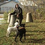 Profile Picture of Ben Brochu (@benhighballer) on Instagram