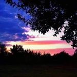 Profile Picture of Michelle Jeffries (@michelle.jeffries.9) on Instagram