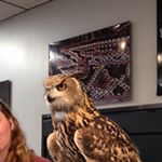 Profile Picture of Brock Murray (@brockmurray98) on Instagram