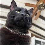 Profile Picture of Jeremy Key (@jeremy.key.605453) on Facebook