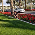 Profile Picture of Lorenzo Naranjo (@lorenzo.naranjo.520) on Instagram