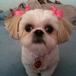 Profile Picture of Miss Dottie (@dorothy.thomas.1023) on Instagram