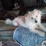 Profile Picture of Kimberley Burkey (@kimberley.burkey.1) on Facebook