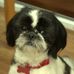Profile Picture of Caroline Cook (@caroline.cox.1042) on Facebook
