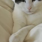 Profile Picture of Jasmine Ranger (@jasmine.ranger.2025) on Facebook