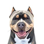 Profile Picture of Scully Eugene (@scullyeugene24) on Instagram