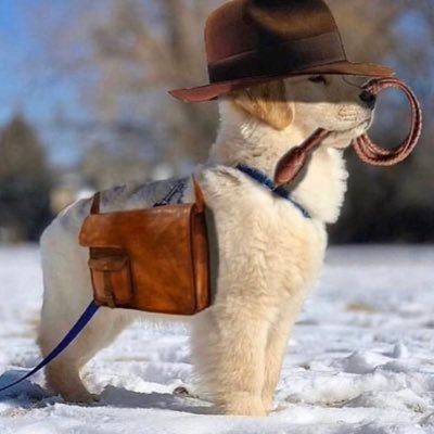 Profile Picture of Dylan Dolezal (@dolezal2046) on Twitter