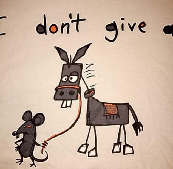 Profile Picture of Jeanie Schacherbauer (@shackydew) on Poshmark