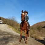 Profile Picture of AnnaMaria Mesicek (@annamaria.mesicek.1) on Facebook