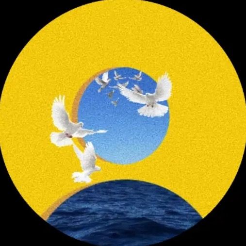 Profile Picture of Adam Reed (@adamreed) on Tiktok