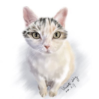 Profile Picture of Vincent_Ling (@VincentLing19) on Twitter