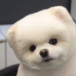 Profile Picture of 나히　✌︎ (@n.ahuis_) on Instagram