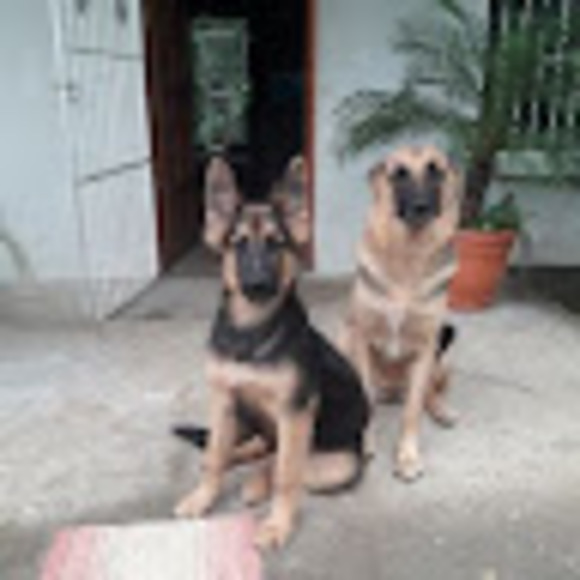 Profile Picture of Ariel Aviles (@arielaviles) on Poshmark