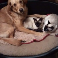 Profile Picture of Andrew Waddington (@andrew-waddington-8) on Quora