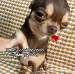 Profile Picture of Justin Allmon (@Justin-Allmon) on Facebook