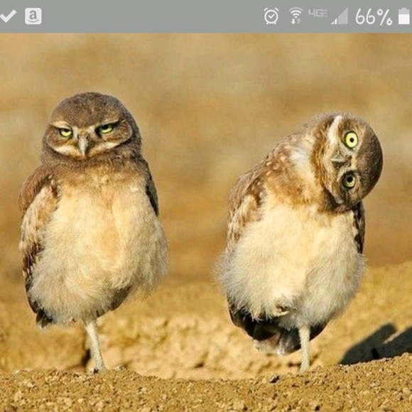 Profile Picture of Michaeleen Oates (@moates_rn) on Poshmark