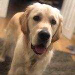 Profile Picture of David Ormes (@djormes) on Instagram