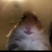 Profile Picture of Leo Mccabe (@leo.mccabe.92) on Facebook