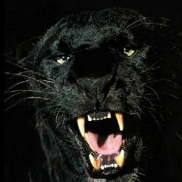 Profile Picture of Jesse Carson Little (@jlittle12345678) on Twitter