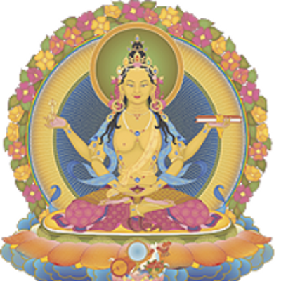 Profile Picture of Marcelo Leone (@marcelo8115) on Twitter