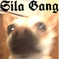 Profile Picture of Miguel Jasso (@miguel-jasso-12) on Quora